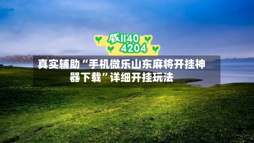 真实辅助“手机微乐山东麻将开挂神器下载”详细开挂玩法-第3张图片