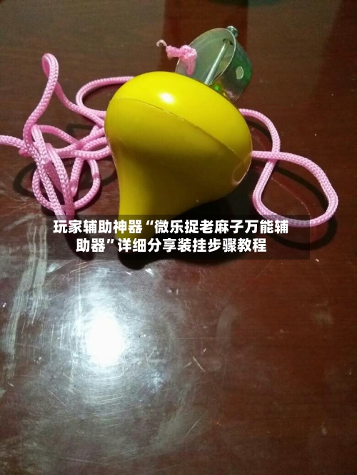 玩家辅助神器“微乐捉老麻子万能辅助器”详细分享装挂步骤教程-第3张图片