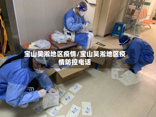 宝山吴淞地区疫情/宝山吴淞地区疫情防控电话-第2张图片
