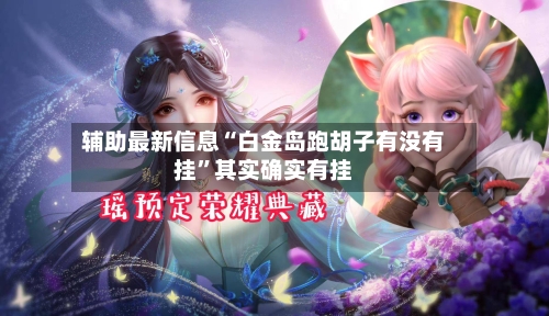 辅助最新信息“白金岛跑胡子有没有挂”其实确实有挂-第2张图片