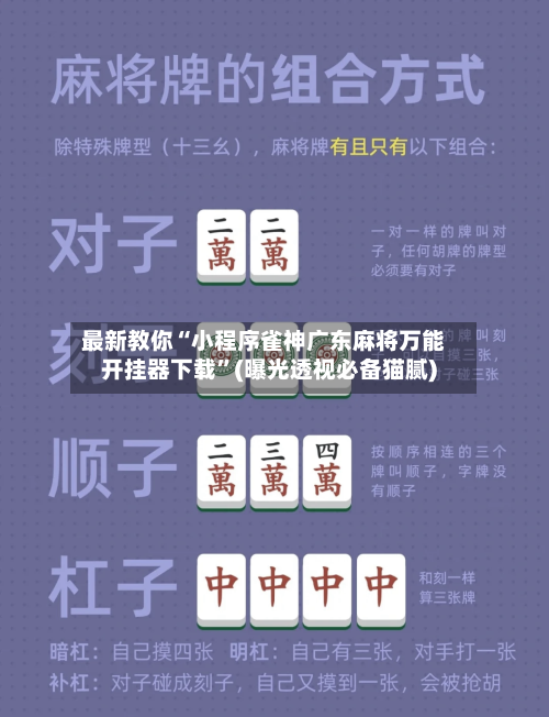 最新教你“小程序雀神广东麻将万能开挂器下载”(曝光透视必备猫腻)