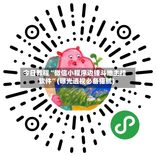 今日教程“微信小程序边锋斗地主挂软件	”(曝光透视必备猫腻)-第3张图片