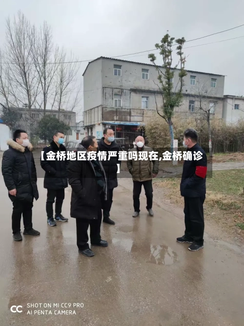 【金桥地区疫情严重吗现在,金桥确诊】-第3张图片