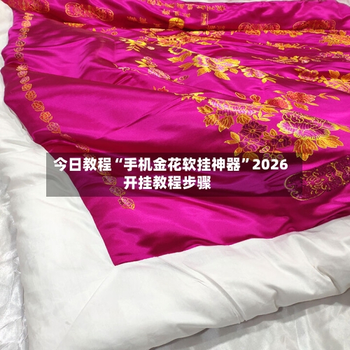 今日教程“手机金花软挂神器”2026开挂教程步骤-第2张图片