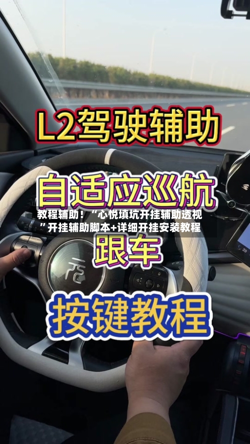 教程辅助！“心悦填坑开挂辅助透视	”开挂辅助脚本+详细开挂安装教程-第2张图片