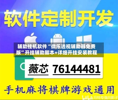 辅助挂机软件“微乐透视辅助器免费版	”开挂辅助脚本+详细开挂安装教程-第2张图片