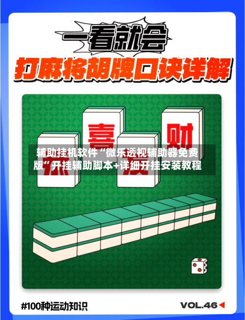 辅助挂机软件“微乐透视辅助器免费版	”开挂辅助脚本+详细开挂安装教程-第3张图片