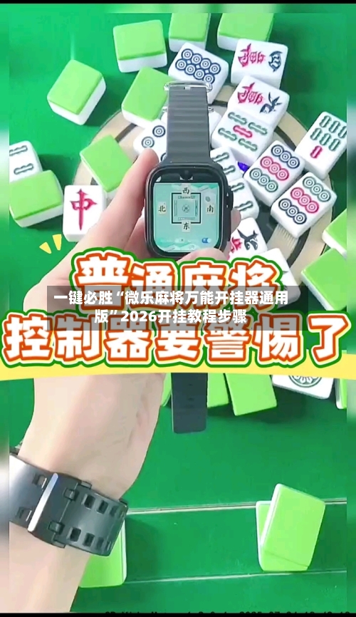 一键必胜“微乐麻将万能开挂器通用版”2026开挂教程步骤-第2张图片