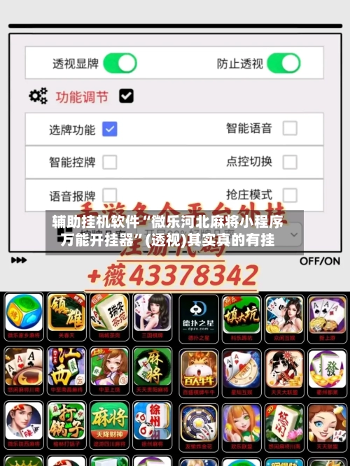 辅助挂机软件“微乐河北麻将小程序万能开挂器	”(透视)其实真的有挂-第2张图片