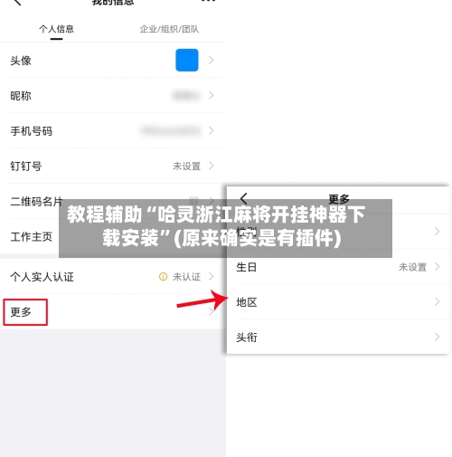 教程辅助“哈灵浙江麻将开挂神器下载安装	”(原来确实是有插件)-第2张图片