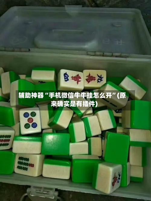 辅助神器“手机微信牛牛挂怎么开	”(原来确实是有插件)-第3张图片