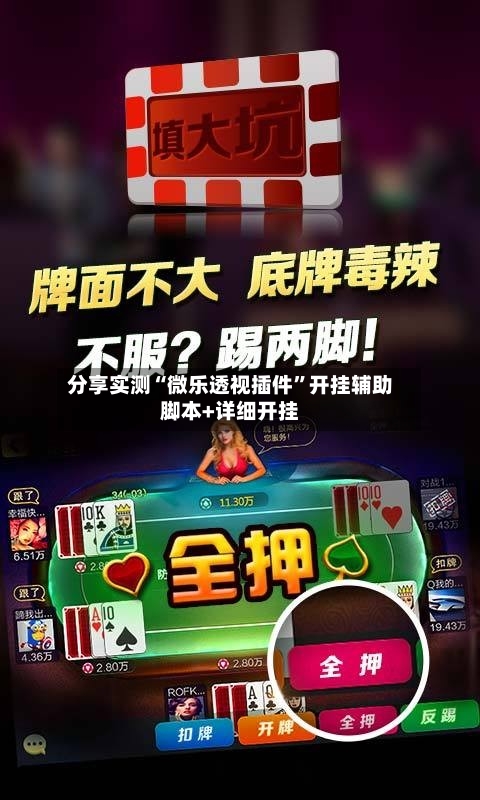 分享实测“微乐透视插件	”开挂辅助脚本+详细开挂-第2张图片