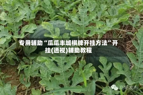 专用辅助“瓜瓜丰城棋牌开挂方法	”开挂(透视)辅助教程-第2张图片