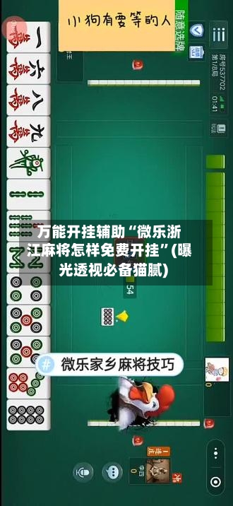 万能开挂辅助“微乐浙江麻将怎样免费开挂”(曝光透视必备猫腻)-第2张图片