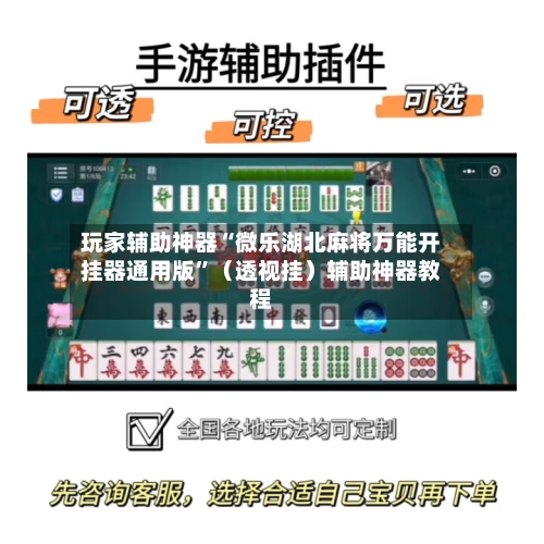 玩家辅助神器“微乐湖北麻将万能开挂器通用版”(透视挂)辅助神器教程