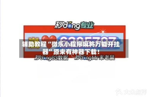 辅助教程“微乐小程序麻将万能开挂器”原来有神器下载！-第3张图片