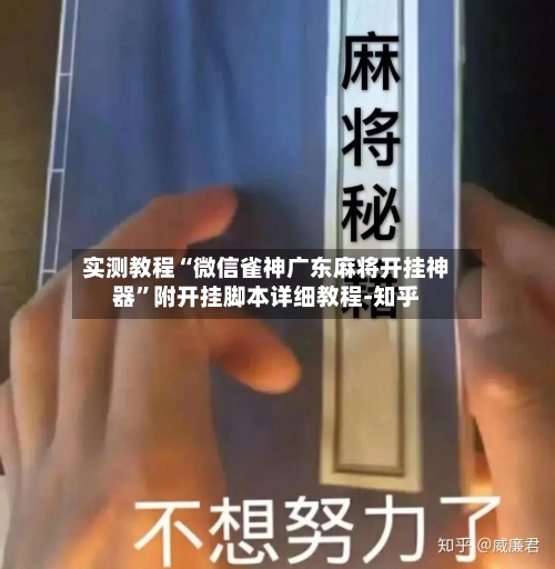 实测教程“微信雀神广东麻将开挂神器	”附开挂脚本详细教程-知乎-第2张图片