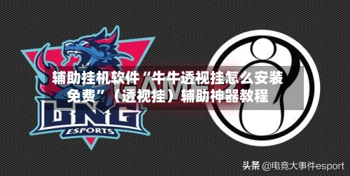 辅助挂机软件“牛牛透视挂怎么安装免费”（透视挂）辅助神器教程-第3张图片