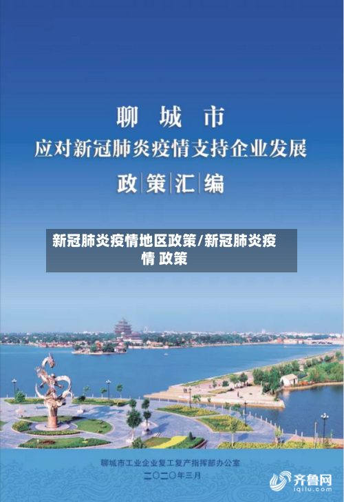 新冠肺炎疫情地区政策/新冠肺炎疫情 政策