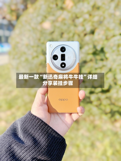 最新一款“新迅奇麻将牛牛挂”详细分享装挂步骤-第2张图片