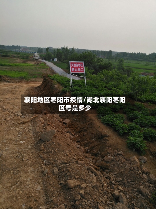 襄阳地区枣阳市疫情/湖北襄阳枣阳区号是多少