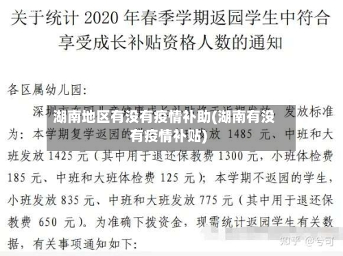 湖南地区有没有疫情补助(湖南有没有疫情补贴)-第2张图片