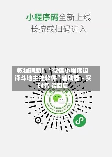 教程辅助！“微信小程序边锋斗地主挂软件	”辅助器 - 实时智能回复-第2张图片