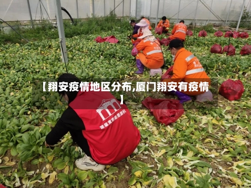 【翔安疫情地区分布,厦门翔安有疫情】-第2张图片