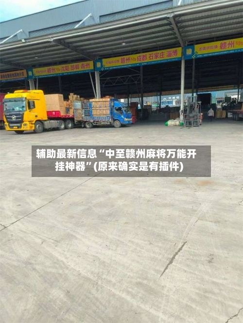 辅助最新信息“中至赣州麻将万能开挂神器	”(原来确实是有插件)-第3张图片