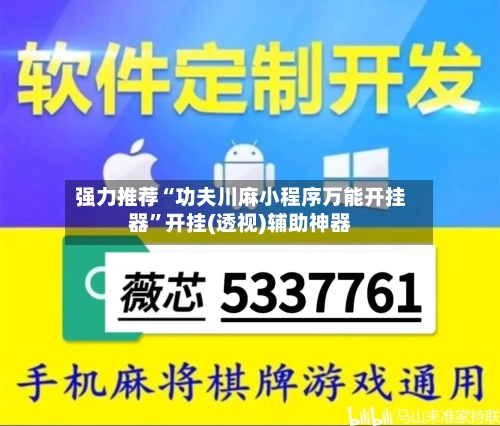强力推荐“功夫川麻小程序万能开挂器	”开挂(透视)辅助神器-第2张图片