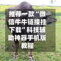 推荐一款“微信牛牛链接挂下载”科技辅助神器手机版教程-第2张图片