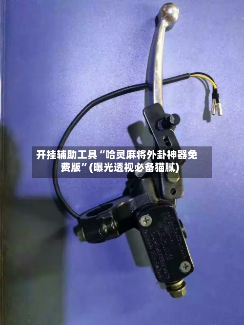 开挂辅助工具“哈灵麻将外卦神器免费版	”(曝光透视必备猫腻)-第2张图片