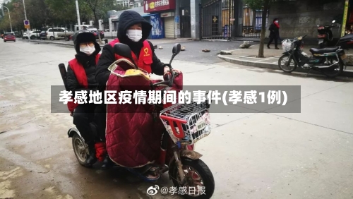 孝感地区疫情期间的事件(孝感1例)-第2张图片