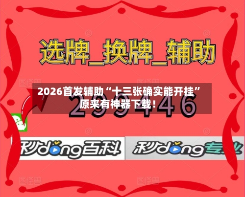 2026首发辅助“十三张确实能开挂”原来有神器下载！-第3张图片