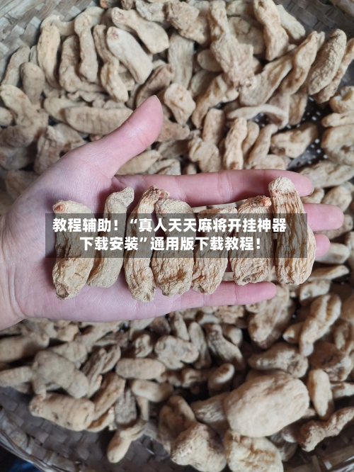 教程辅助！“真人天天麻将开挂神器下载安装”通用版下载教程！-第2张图片