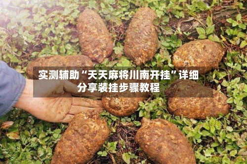 实测辅助“天天麻将川南开挂	”详细分享装挂步骤教程-第2张图片