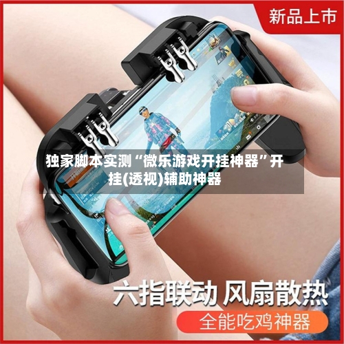 独家脚本实测“微乐游戏开挂神器”开挂(透视)辅助神器-第2张图片