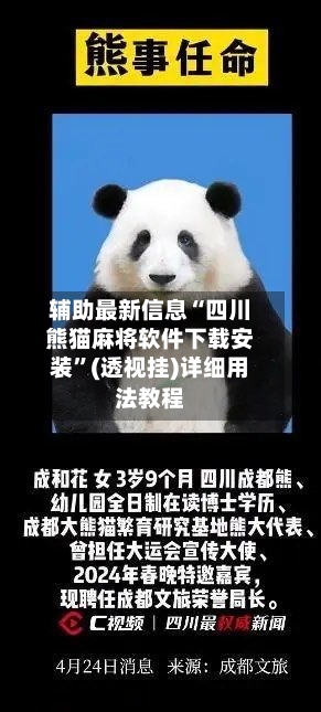 辅助最新信息“四川熊猫麻将软件下载安装”(透视挂)详细用法教程-第3张图片