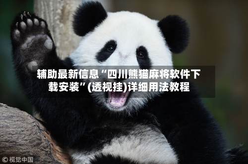 辅助最新信息“四川熊猫麻将软件下载安装”(透视挂)详细用法教程-第2张图片