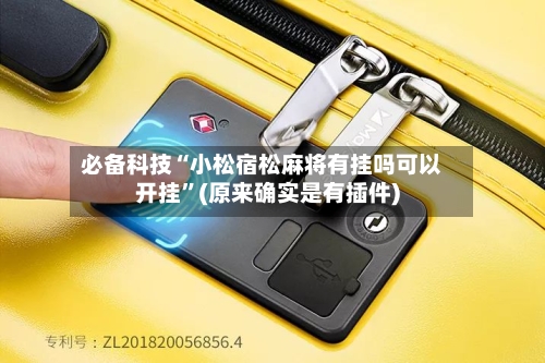 必备科技“小松宿松麻将有挂吗可以开挂	”(原来确实是有插件)-第2张图片