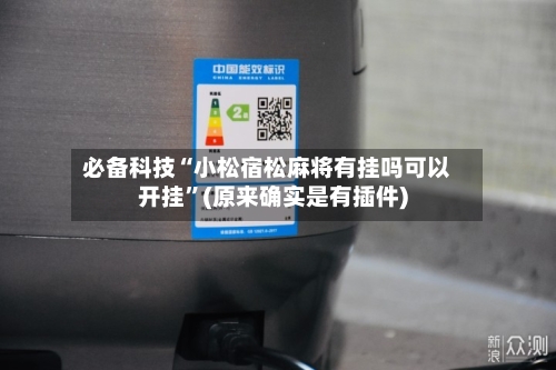 必备科技“小松宿松麻将有挂吗可以开挂”(原来确实是有插件)-第3张图片