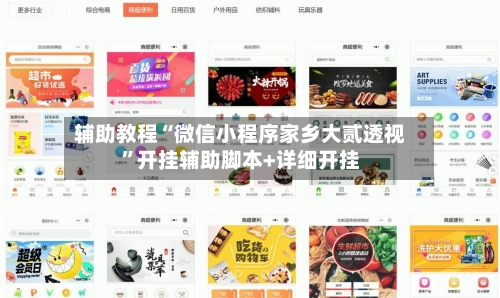 辅助教程“微信小程序家乡大贰透视”开挂辅助脚本+详细开挂