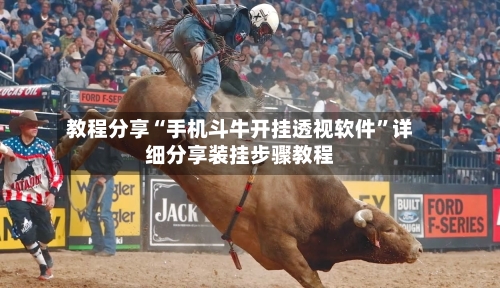 教程分享“手机斗牛开挂透视软件	”详细分享装挂步骤教程-第3张图片