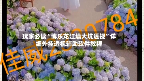 玩家必读“博乐龙江填大坑透视	”详细外挂透视辅助软件教程-第3张图片