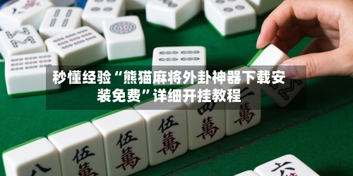 秒懂经验“熊猫麻将外卦神器下载安装免费”详细开挂教程-第2张图片