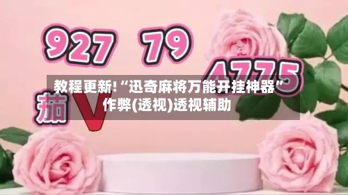 教程更新!“迅奇麻将万能开挂神器”作弊(透视)透视辅助-第2张图片