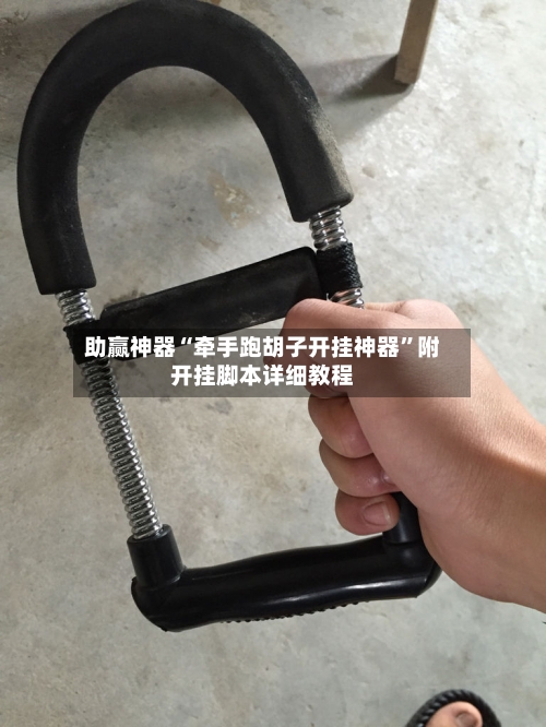 助赢神器“牵手跑胡子开挂神器”附开挂脚本详细教程-第2张图片