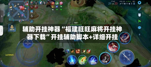 辅助开挂神器“福建旺旺麻将开挂神器下载”开挂辅助脚本+详细开挂-第3张图片