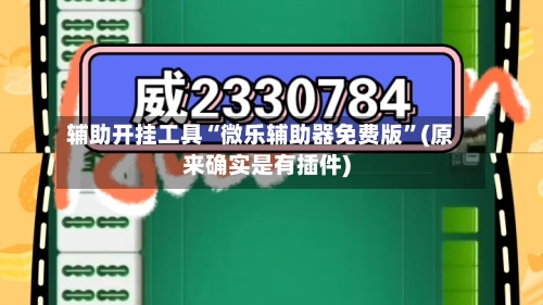 辅助开挂工具“微乐辅助器免费版”(原来确实是有插件)-第2张图片