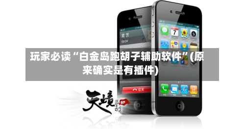 玩家必读“白金岛跑胡子辅助软件”(原来确实是有插件)-第3张图片